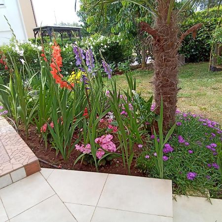 Bluegum Apartments Liznjan Ngoại thất bức ảnh